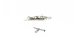 Fixation vis bois pour3m2 de bardage