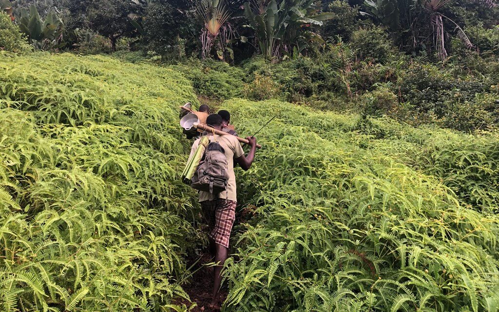 reforestation à madagascar