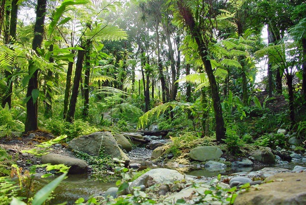 sanctuaire de biodiversité madagascar