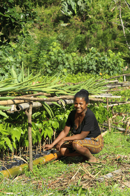 reforestation de zone protégée madagascar