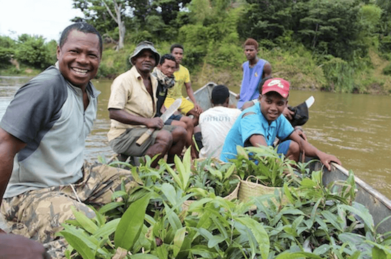 reforestation par les locaux àmadagascar